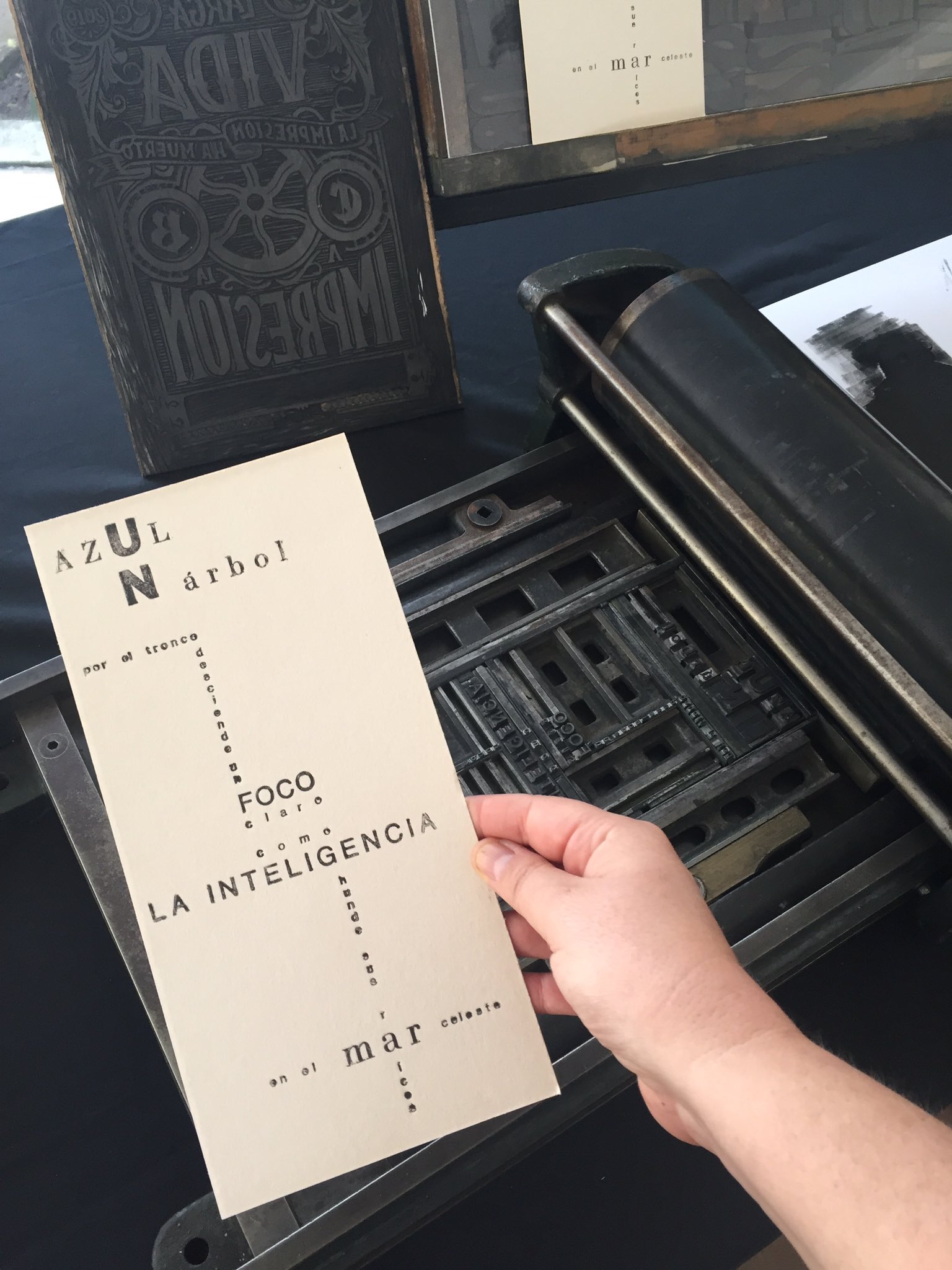 213. Poesía más Poesía Amanda Berenguer Revista Poesía Más Poesía ®️